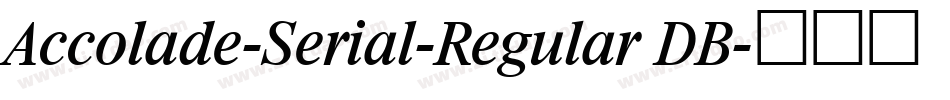 Accolade-Serial-Regular DB字体转换